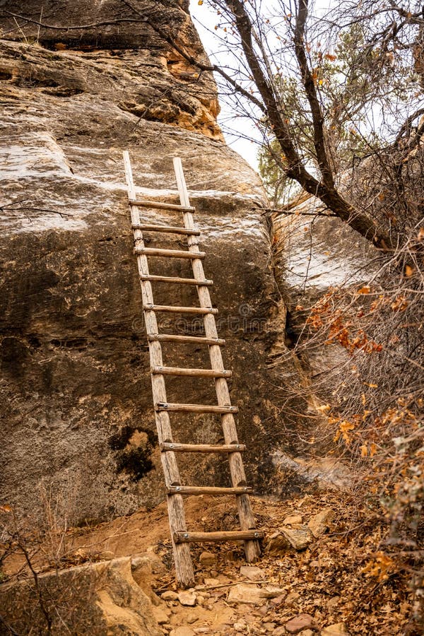 Wooden Ladder Leads Up Rock Face On Cave Spring Trail