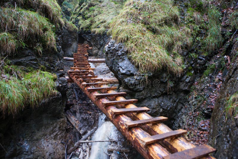 Wooden ladders above gorges in Slovak Paradise tourist destination
