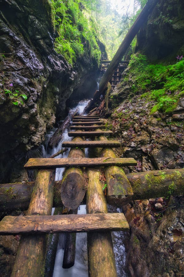 Wooden ladders path in Velky Sokol gorge in the Slovak Paradise during summer