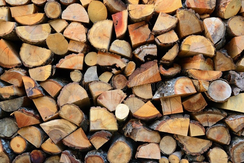 Texture of wooden logs