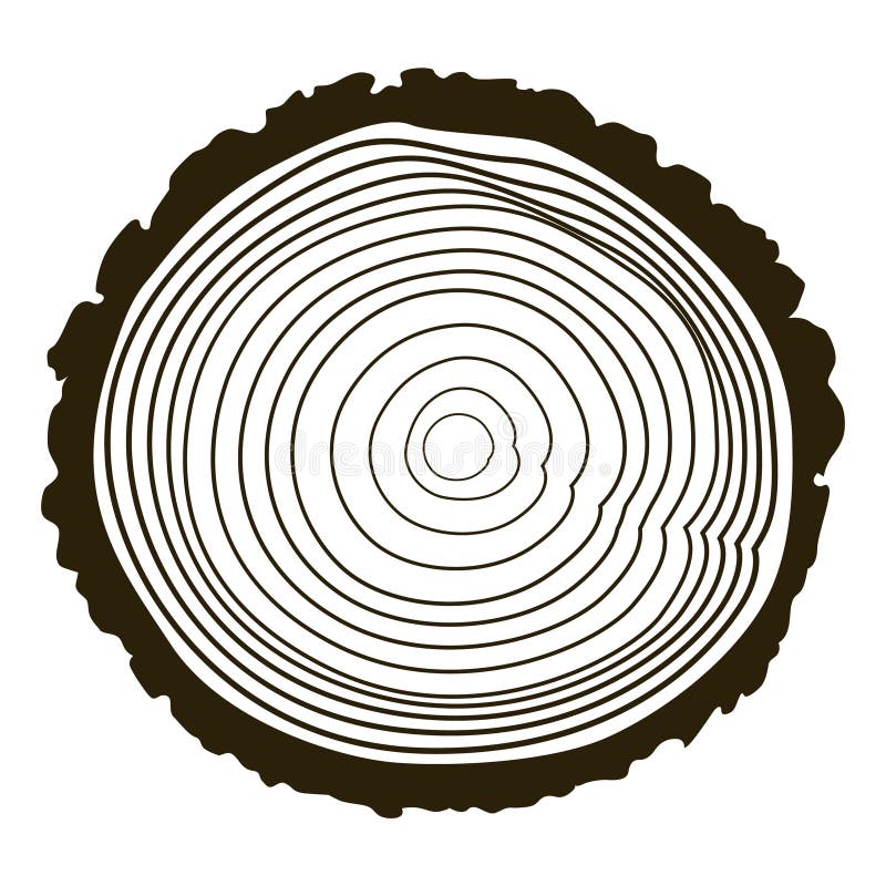 Wooden logs texture. Wood concepts graphics, lumber circle top view. Vintage outline tree ring stump, cut trees vector illustration