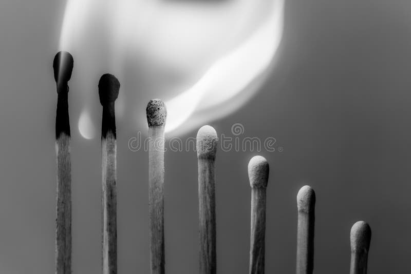 Wooden Matchsticks Burning in Sequence. Black and White Colors Stock