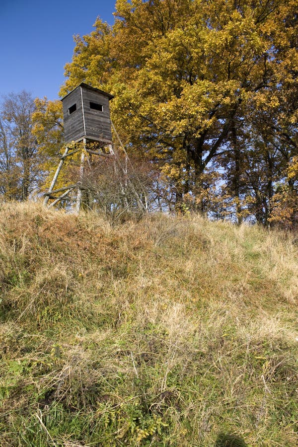 Wooden observation