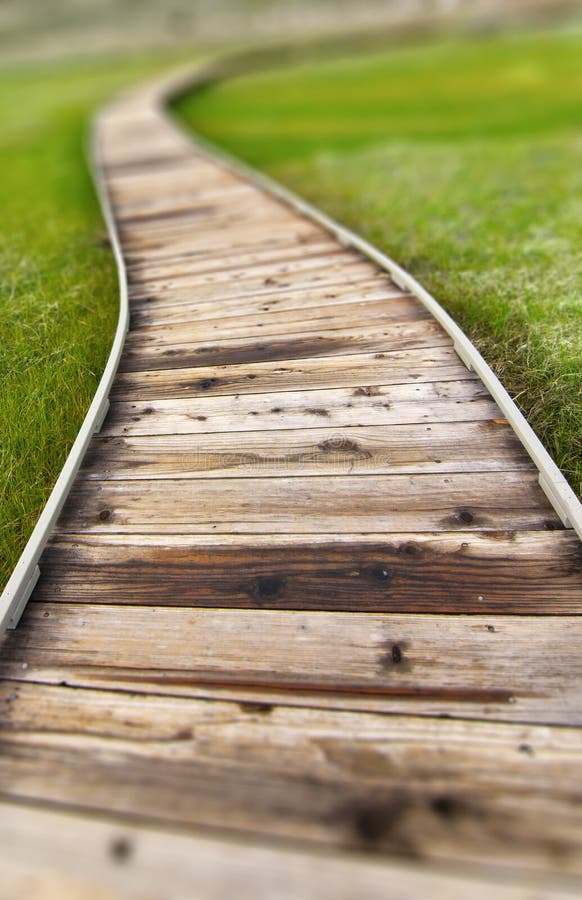 Wooden Path