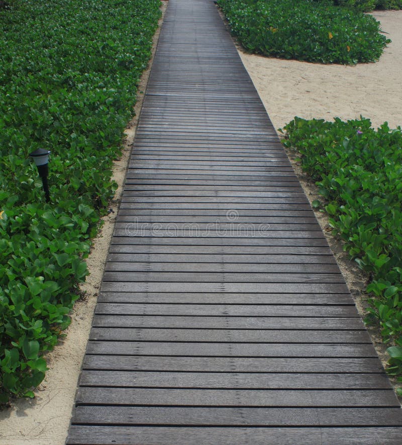 Wooden path in beach