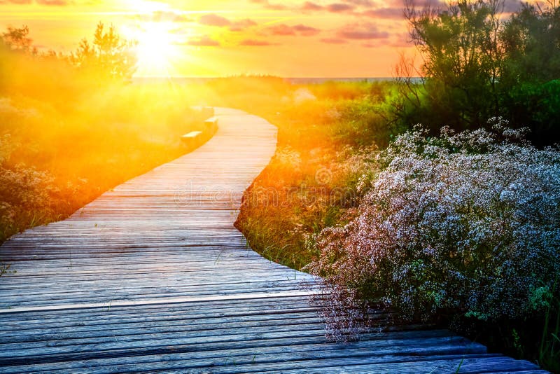 Wooden path at sunset