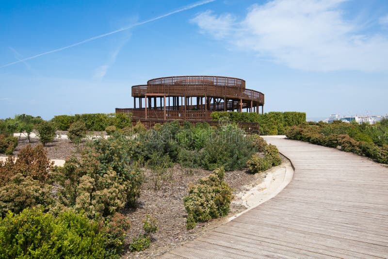 Wooden path to the lookout tower in Valdebebas Park