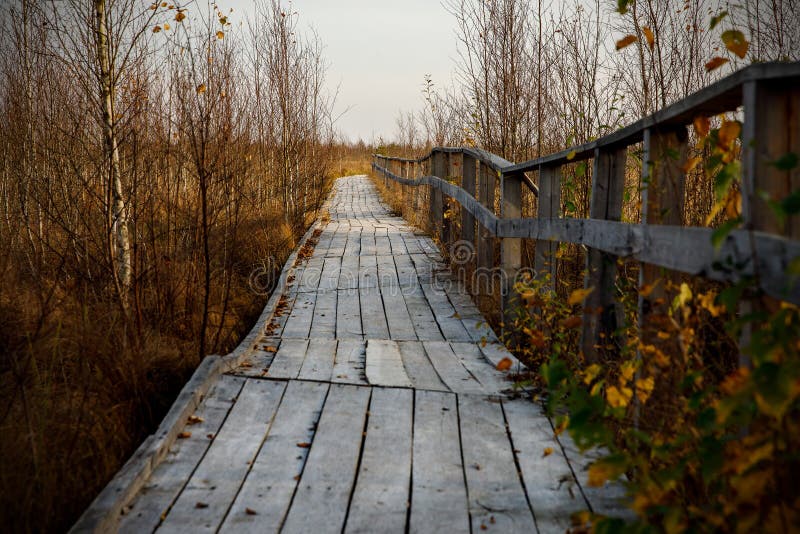 Wooden Path Walkway Stock Photo Image Of Environment 27459776