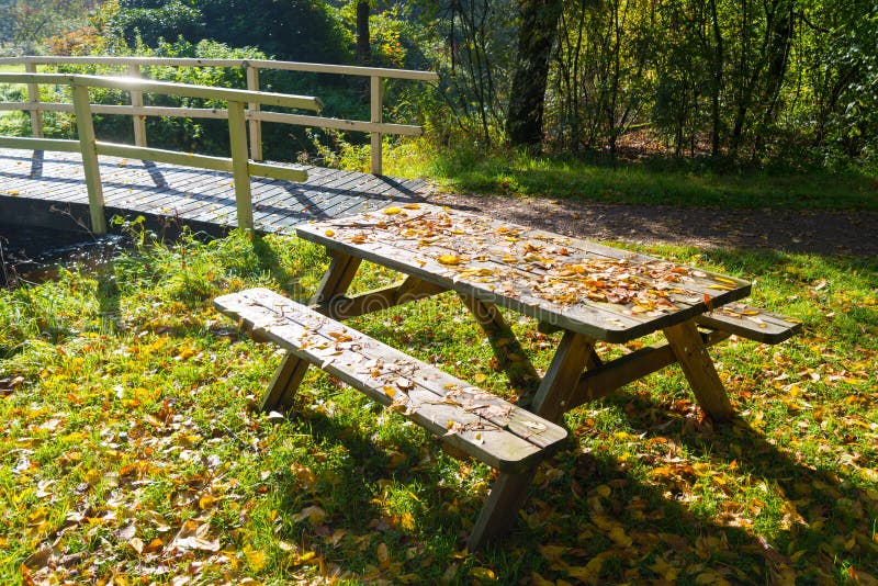 Wooden picnic table stock photo. Image of quiet, bridge 101093908