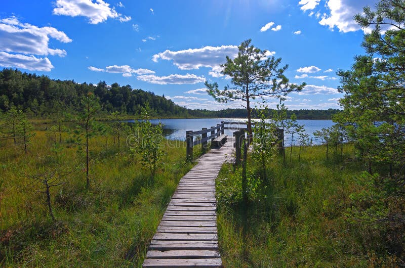 Wooden pier on lake