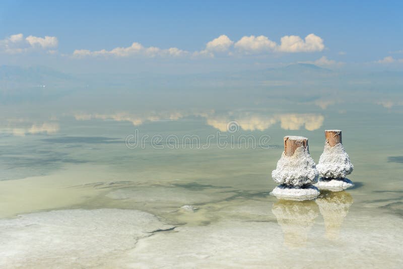 Wooden pillars with crystallized salt on Urmia Salt Lake. Iran