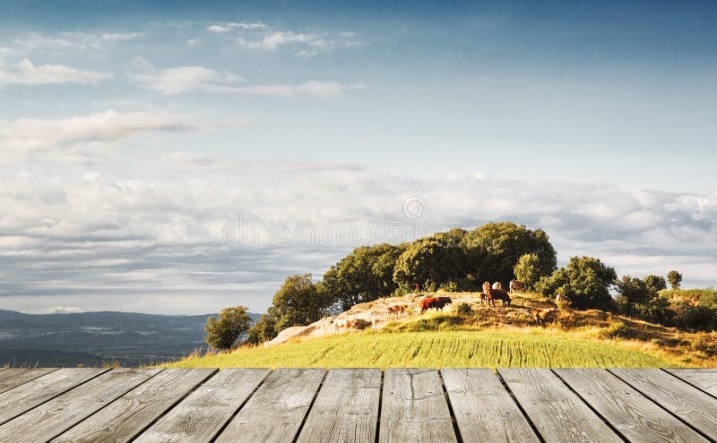 Wooden plank table against a natural farming background in the nature. Empty copy space royalty free stock photo Wooden plank table against a natural farming background in the nature. Empty copy space royalty free stock photo