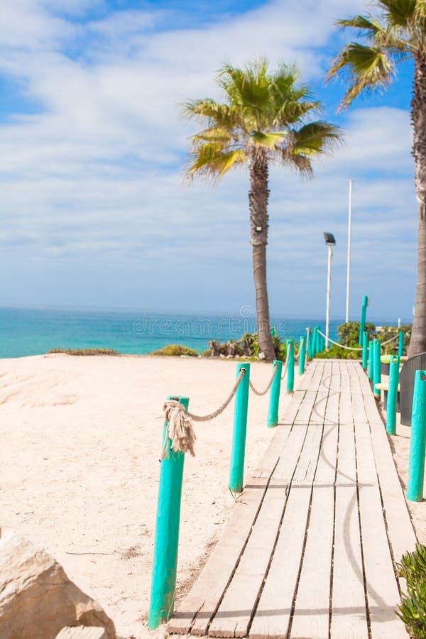 Wooden platform on way to sea of palm trees in the