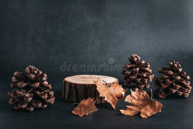 Wooden podium or stand for product showcase with cones and dry leaves on grey stone background, dark still life