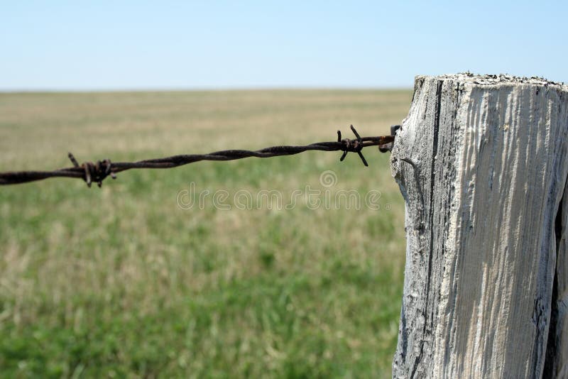 Wooden post and barbed wire