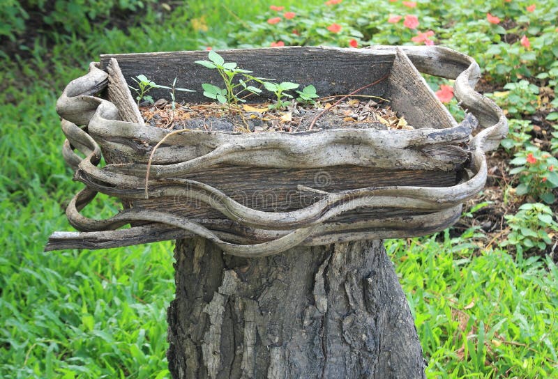 Wooden pots stock image. Image of bloom, color, blossom 62586567