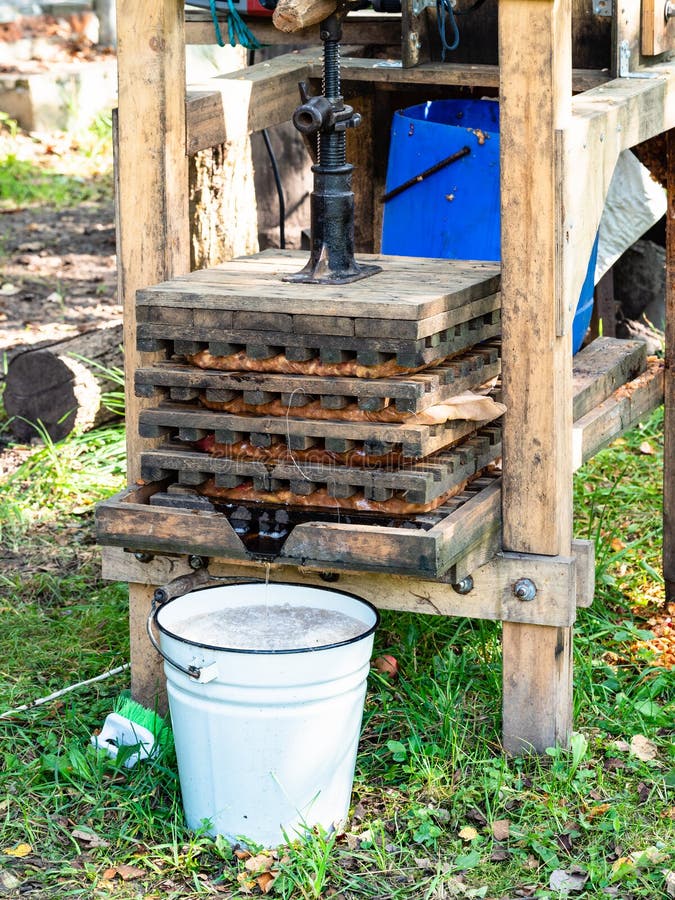 De madera para presionar a balde de fresco impreso manzana jugo sobre el sidra de manzana en municipio.