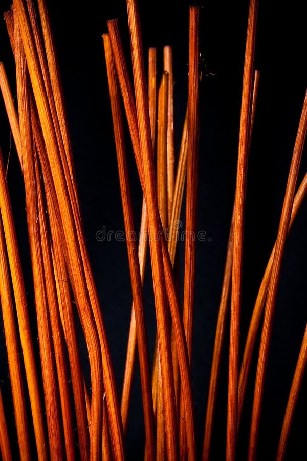 Wooden Reeds stock photo. Image of wood, vertical, backdrop 13734450