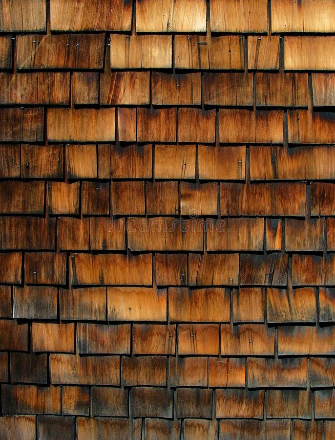Wooden Scales stock image. Image of wood, organic, trunk - 189037