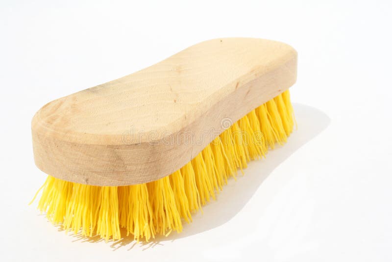 Bristle brush stock photo. Image of coat, equine, horse 5337136