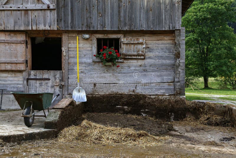 A Wooden Shed on a Farm Plot in the Village Stock Photo Image of