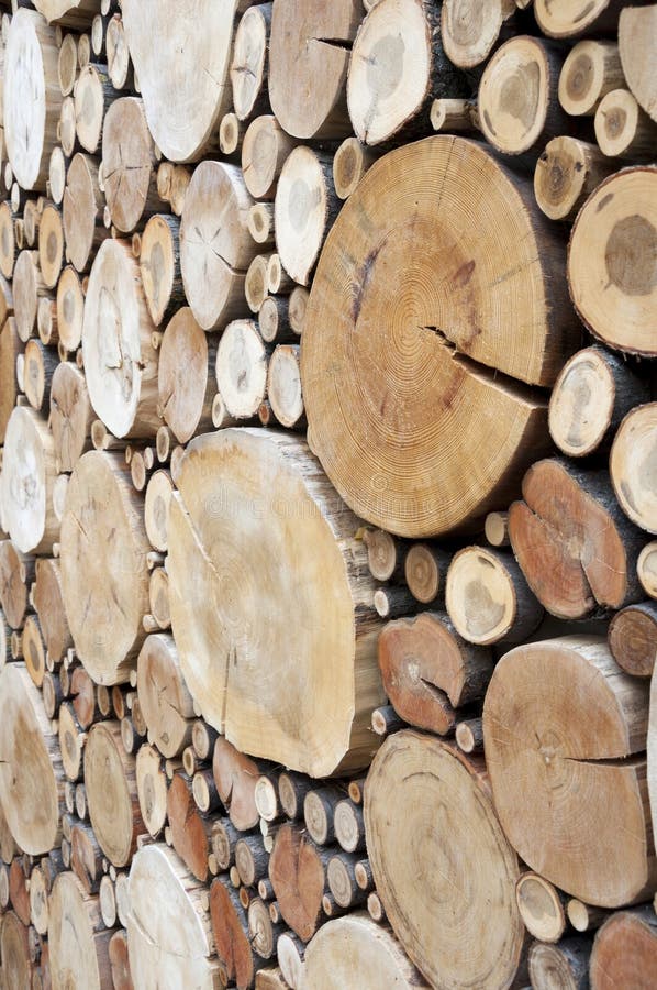 Wooden Slabs Wall.Set of Log Slices.Abstract Backdrop. Stock Photo