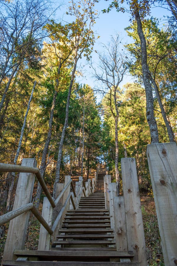 Wooden Steps On A Steep Hillside In The Forest Stock Photo, Picture and  Royalty Free Image. Image 36876055.