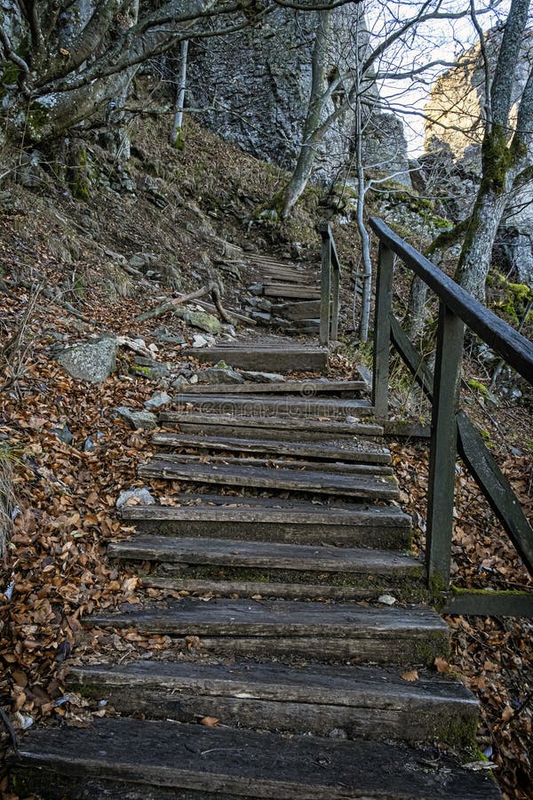 Dřevěné schody, vrch Sitno, Štiavnické hory, Slovensko, sezónní přírodní scenérie