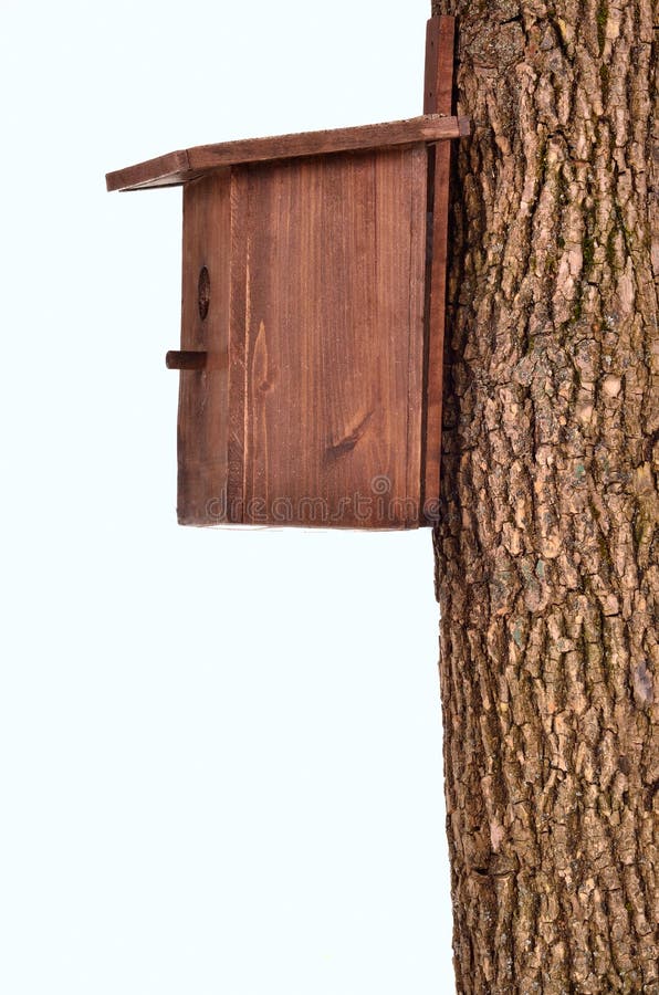 Wooden starling-house on a bole isolated