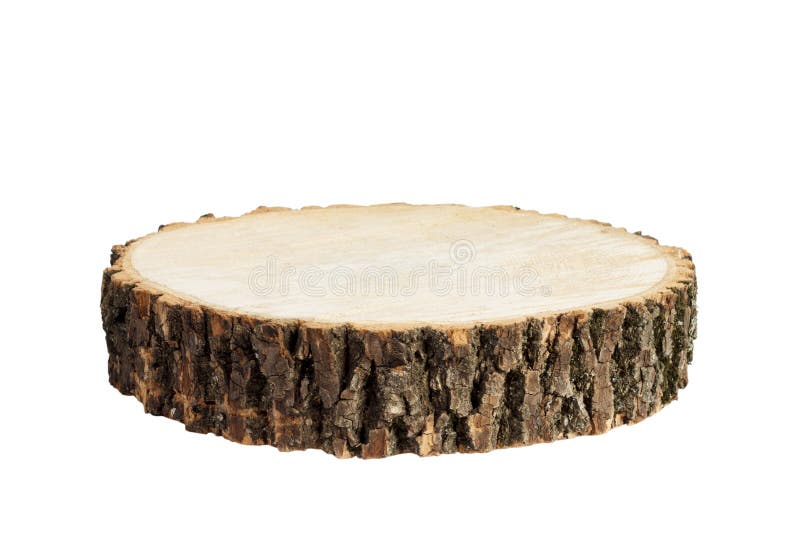 Wooden stump isolated. Cross section of tree trunk, isolated on white background stock images Wooden stump isolated. Cross section of tree trunk, isolated on white background stock images