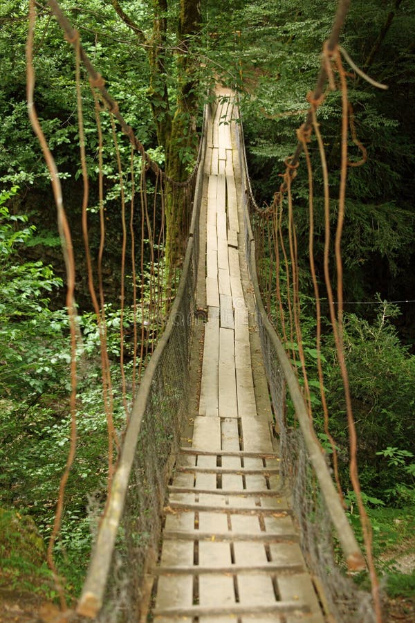 Wooden Suspension Bridge in Wood Stock Image Image of engineering