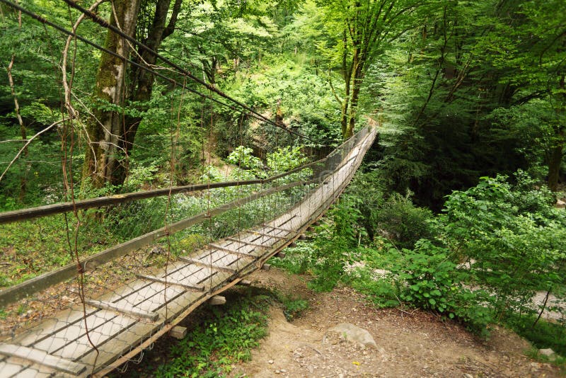 Wooden suspension bridge in wood royalty free stock photo Wooden suspension bridge in wood royalty free stock photo