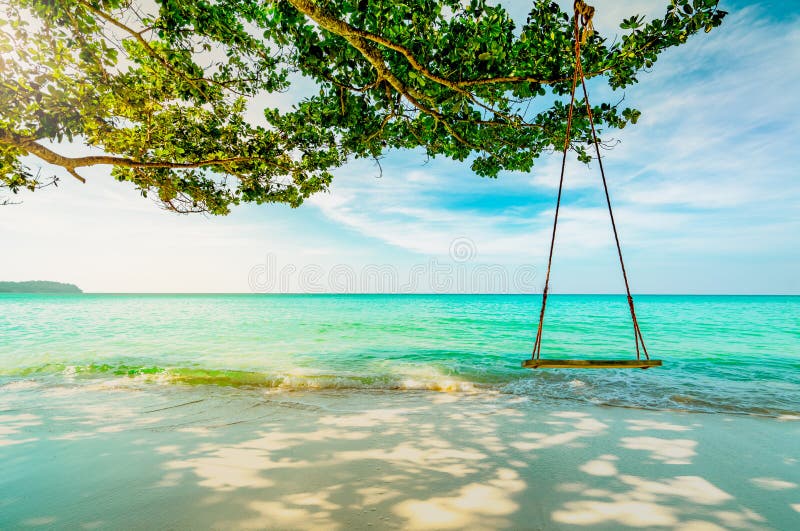 Wooden swings hang from branch of tree at seaside. Emerald green sea water with blue sky and white clouds on summer. Summer vibes.