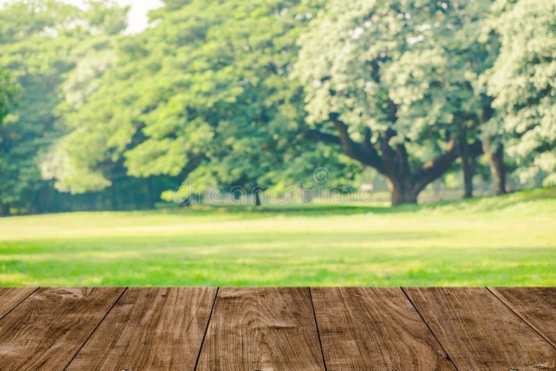 Wooden table with beautiful green park grass field with big green tree landscape view for nature products advertising background