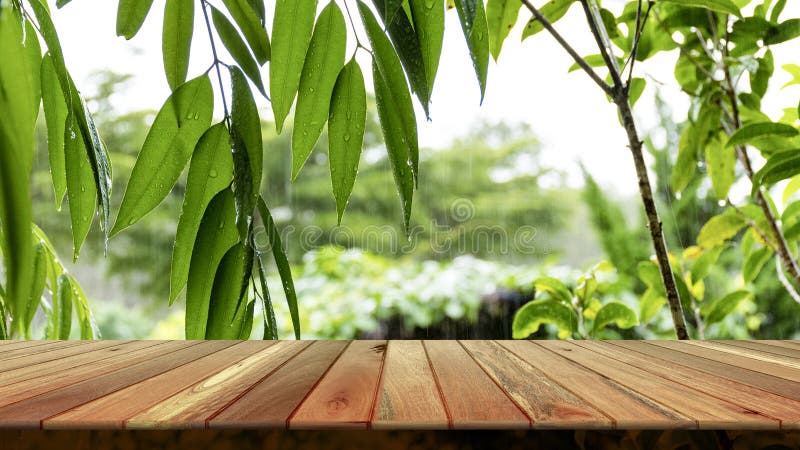 Wooden table and blurred green leaf nature in garden background. Free place for creativity. Background