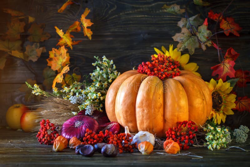 The wooden table decorated with vegetables, pumpkins and autumn leaves. Autumn background. Schastlivy von Thanksgiving