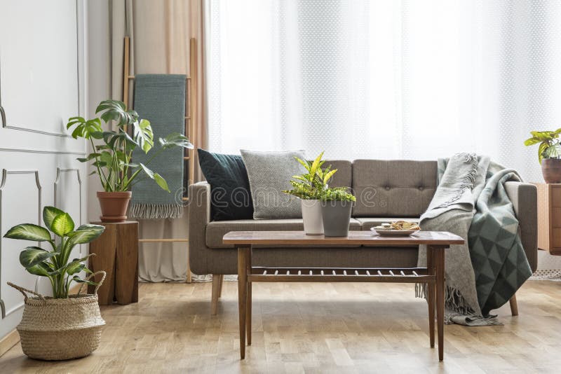 Wooden table in front of beige couch in simple bright living room interior with plants. Real photo