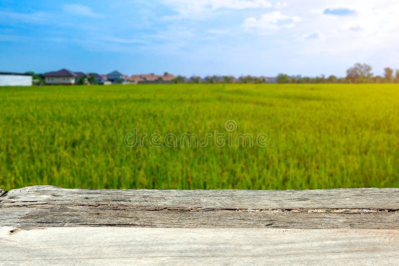 Wooden Table on Grass and the Blue Sunny Sky Stock Photo - Image of green,  fresh: 210374770