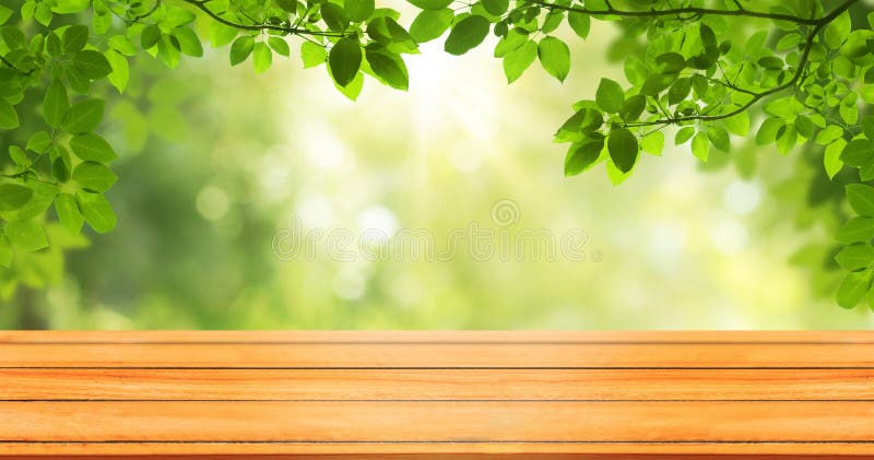 Hình nền gỗ tự nhiên với những chiếc lá xanh tươi tắn là điều khiến bức ảnh này trở nên đặc biệt hơn bao giờ hết. Hãy cùng chiêm ngưỡng hình ảnh này để tận hưởng cảm giác gần gũi với thiên nhiên và ngắm nhìn vẻ đẹp tuyệt vời của lá cây. Chắc chắn bạn sẽ thật sự thích thú và cảm nhận được sự thanh tịnh từ hình ảnh này. Làm sao có thể cưỡng lại được vẻ đẹp của một bức ảnh hình nền gỗ tự nhiên phủ đầy những chiếc lá lớn, nhỏ xinh xắn. Đây chính là hình ảnh trong mơ của nhiều người, hãy xem và cảm nhận vẻ đẹp tự nhiên từ bức ảnh này. Bạn sẽ được hòa mình vào thiên nhiên, cảm nhận được làn gió mát và hơi ấm của những chiếc lá. Chắc chắn bạn sẽ thật sự yêu thích và muốn có ngay bức ảnh này. Hãy cùng tận hưởng vẻ đẹp của thiên nhiên với bức ảnh hình nền gỗ tự nhiên đầy sức sống và màu sắc. Với những chiếc lá xanh tươi tắn được phủ lên trên bề mặt gỗ, bức ảnh sẽ mang đến cho bạn cảm giác bình yên và thanh tịnh. Khám phá thiên nhiên đầy thú vị và tận hưởng với một lần chiêm ngưỡng bức ảnh này. Chắc chắn bạn sẽ thấy bức ảnh này thật ấn tượng và gợi lên trong bạn nhiều cảm xúc tích cực. Ảnh nền gỗ với những chiếc lá xanh tươi tắn và đầy sức sống là điểm nhấn thu hút sự chú ý của nhiều người. Với bức ảnh này, bạn sẽ cảm thấy như được lạc vào một khu rừng xanh mát, cảm nhận được hơi thở của thiên nhiên. Hãy xem hình ảnh này và tận hưởng cảm giác bình yên, thanh tịnh và sự đẹp đẽ của thiên nhiên. Một bức ảnh đáng để luôn dành trên trang cá nhân của bạn.