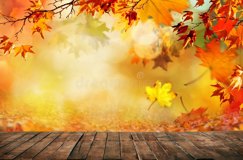 Wooden table with orange fall leaves stock image.