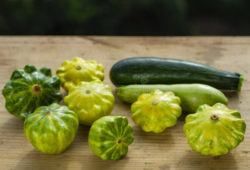 Group of Different Varieties of Squash Zucchini Stock Image Image of