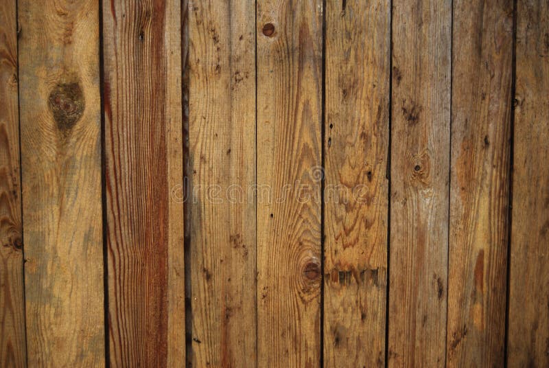 Wooden texture