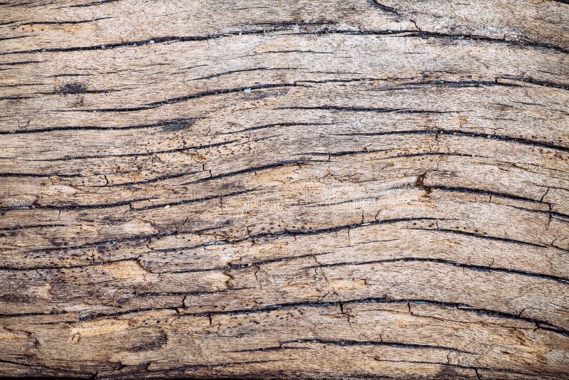 Wooden Texture Wood Grain, Vintage Style Stock Image Image of
