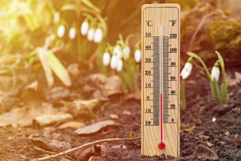 Wooden Thermometer Outside Temperature Stock Photo - Image of