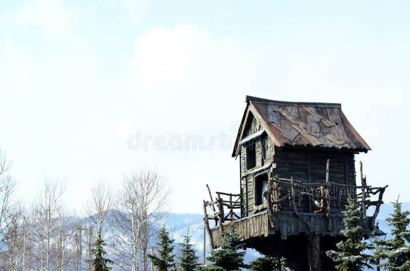 Wooden tree house royalty free stock image Wooden tree house royalty free stock image