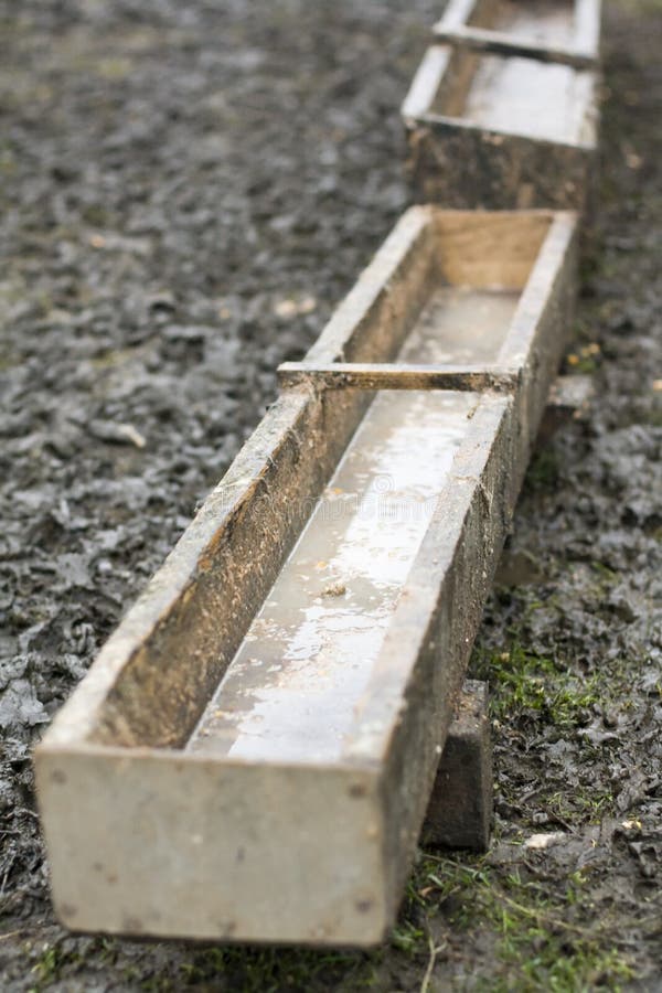 Wooden trough stock image. Image of outdoor, animals 38934983