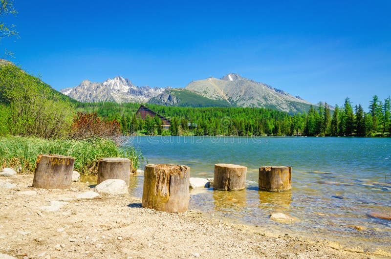 Wooden trunks at beach of mountain lake