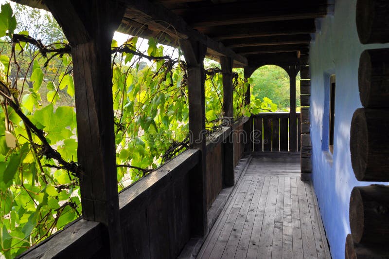 Wooden veranda with grape leaves royalty free stock photos Wooden veranda with grape leaves royalty free stock photos