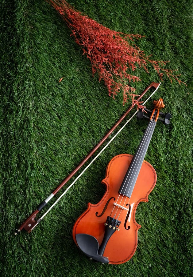 The wooden violin and bow stock photo. Image of artistic 150941302