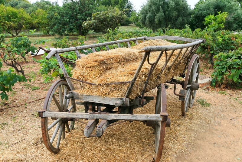Antique Hay Wagon Stock Photos Download 423 Royalty Free Photos